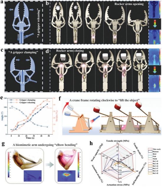 《Advanced Materials》發表航空學院苗應剛合作研究成果-20241225(1)1242.png