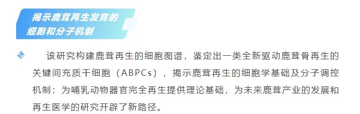 圖片1.jpg