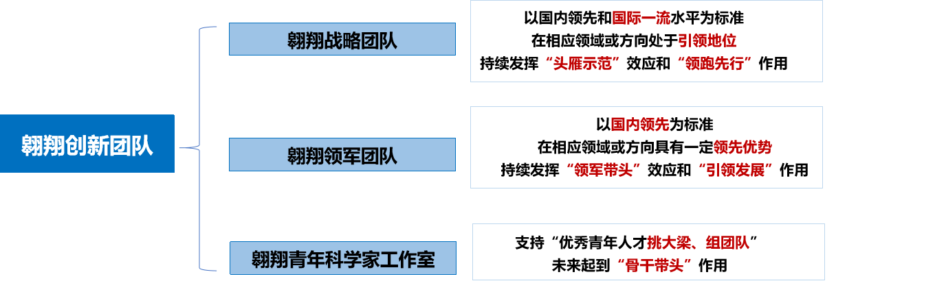 圖4-1:學校翱翔創(chuàng)新團隊體系.png undefined