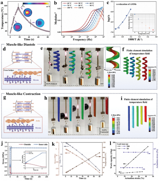 《Advanced Materials》發表航空學院苗應剛合作研究成果-20241225(1)1216.png